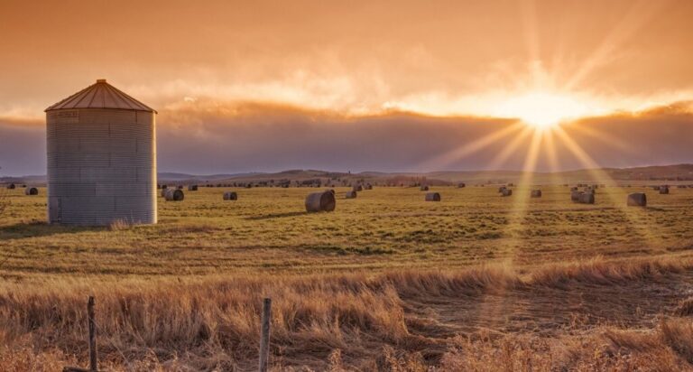 Alberta Livestock Expo takes centre stage