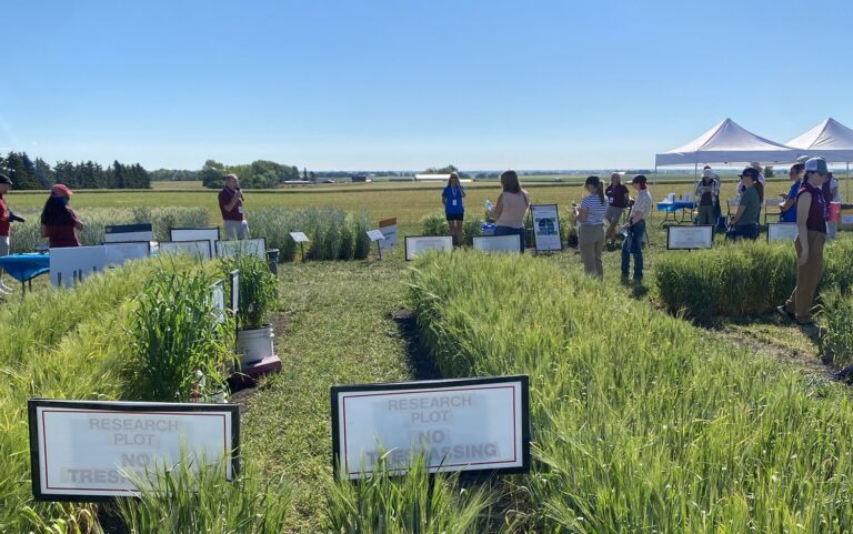 Western Crop Innovations Launches Survey to Guide Future Research