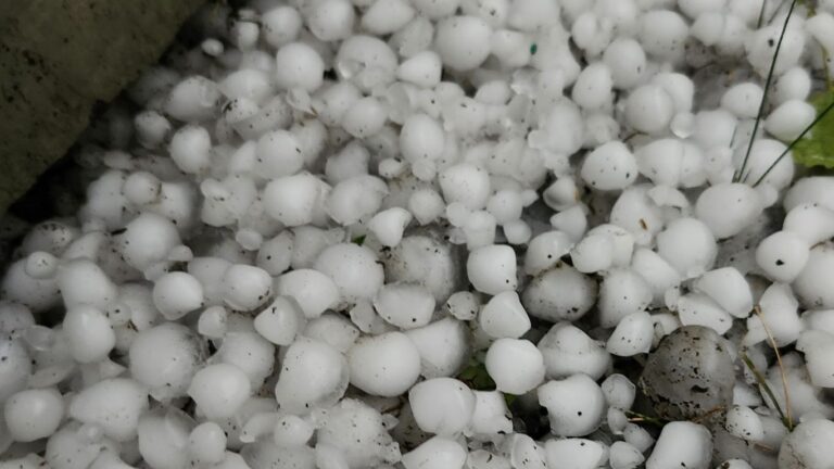2025 Crop Year Delivers Mixed Hail Storm Results Across Prairie Provinces
