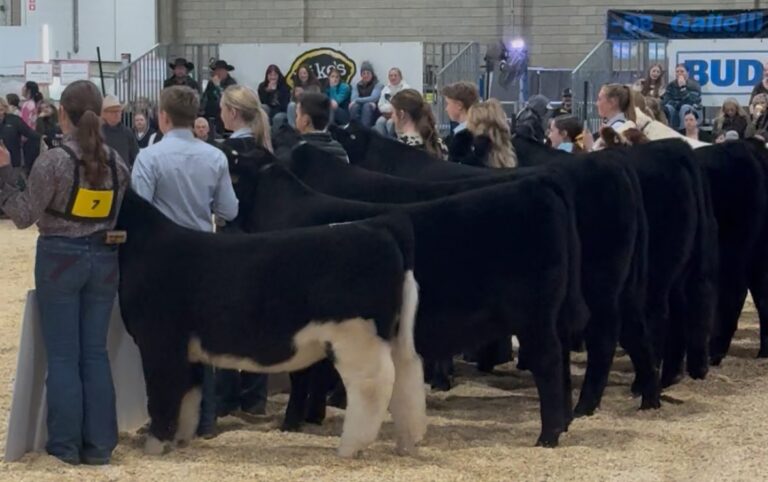 FarmFair International a Family Affair