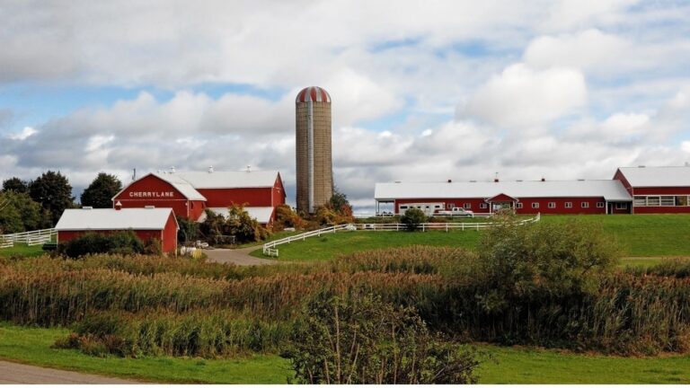 Ontario Farmers to Receive $20M for Market Expansion