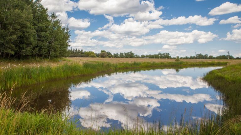 New Rules to Boost Water Storage and Conservation in Alberta