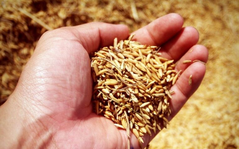 Agri-Visions conference and trade show returns to Lloydminster