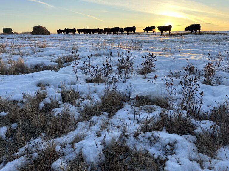 Prairie Weather This Week – Midweek Update Feb 5