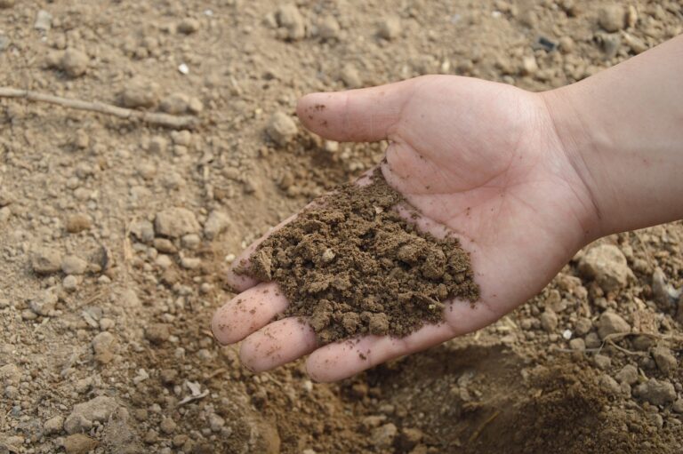 Below Ground Soil Health Conference Set For Dawson Creek, BC