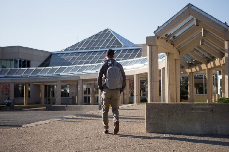 New Lethbridge Polytechnic program looks to ease veterinary shortage