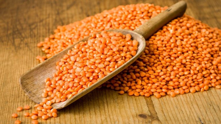 Pulse Canada welcomes plan for Canada–India Pulse Protein Centre of Excellence