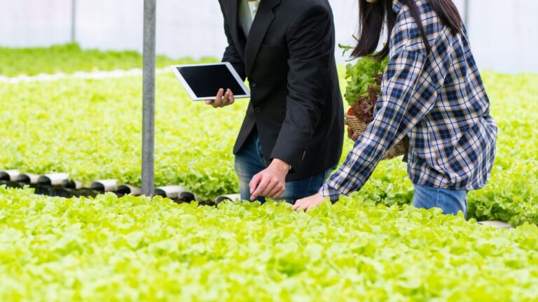 Feds investing $27 million to help young Canadians gain experience in agriculture