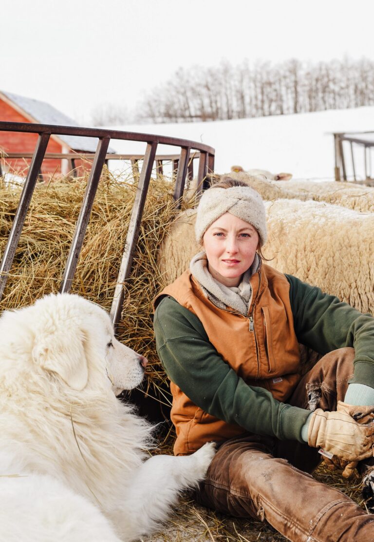 Chatsworth Farm wins international agritourism award