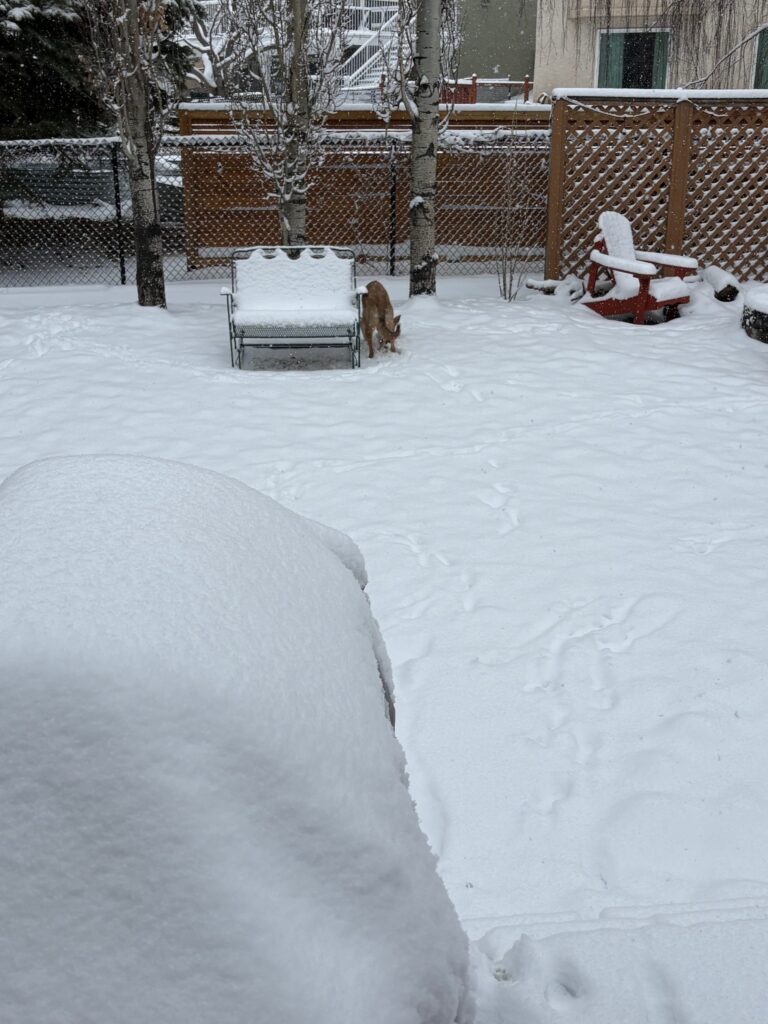 Prairie Weather This Week – Midweek Update Apr 2