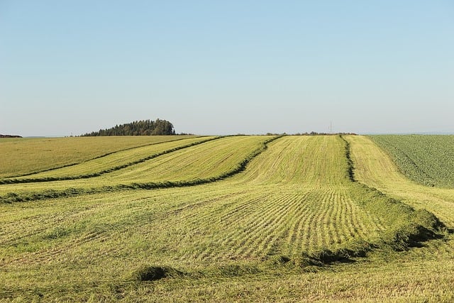 Benefits, Challenges as Farmland Values Continue to Rise