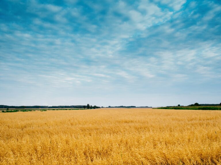 Applications open for Rocky Mountain Equipment ag society grant program