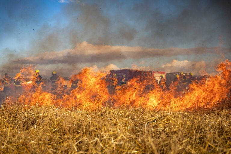 Wildfire Schools to Offer Hands-On Training for Producers in the B.C. Peace