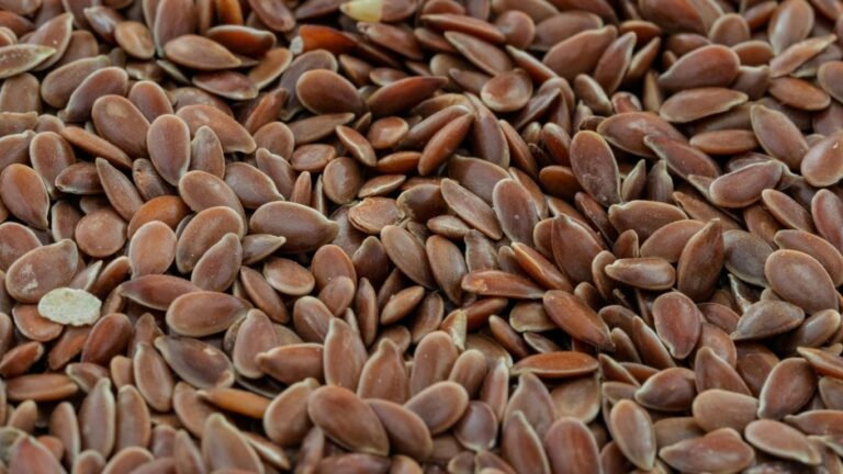 Longstanding EU flaxseed testing requirement for Canada ends