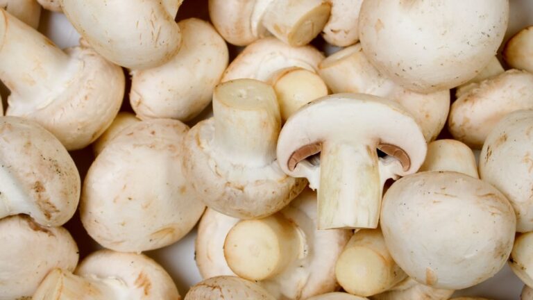 Canadian mushroom growers warn U.S. duties could threaten jobs, raise food costs