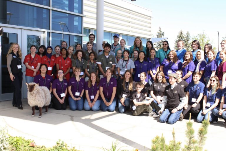 Youth Veterinary Science Challenge gives students a look at careers in animal health