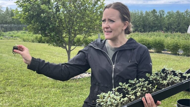 Family, flowers and community drive success at Providence Acres Flower Farm