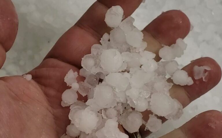 Hail Report: Damaging winds, rain, and hail impacts crops across the Prairies