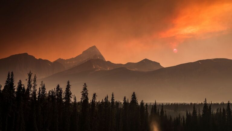 Senate report warns wildfires pose growing threat to Canadian agriculture