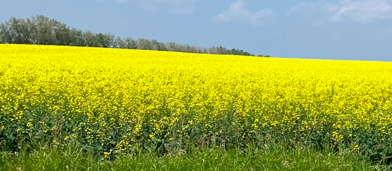 Prairie Weather This Week – midweek update July 23