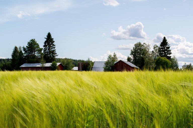 BC Agriculture Council looks to protect the future of farming with new farmland trust