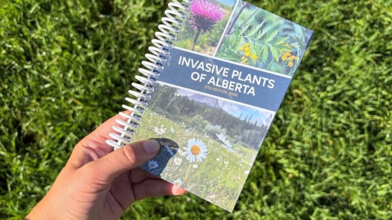 Alberta Invasive Species Council releases guide to invasive plants in Alberta