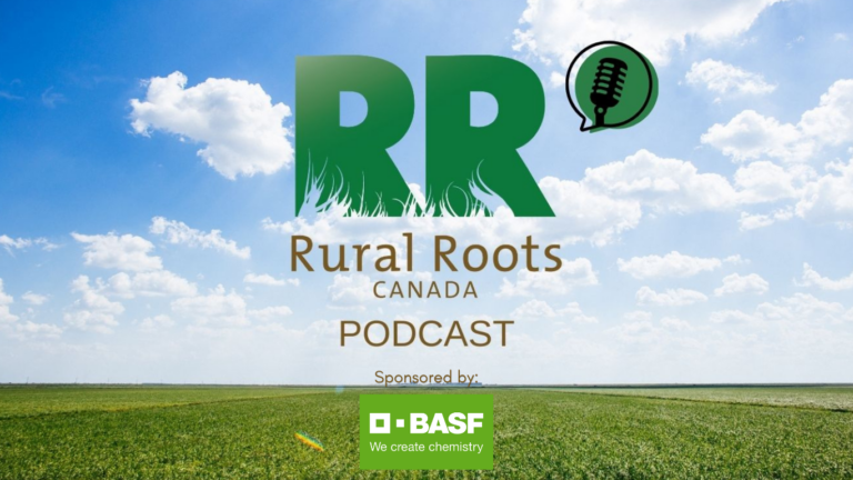 RRC Podcast S2E26 – Dry South, Wet North as Harvest Picks Up Steam