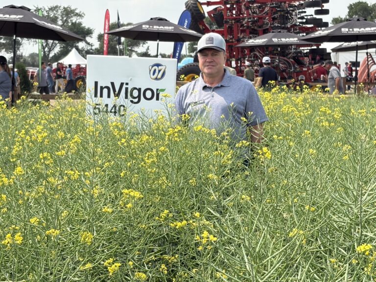 From Pod Shatter Reduction to Clubroot Resistance: InVigor Celebrates 30 Years