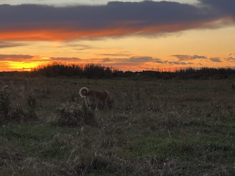 Prairie Weather This Week – September 28