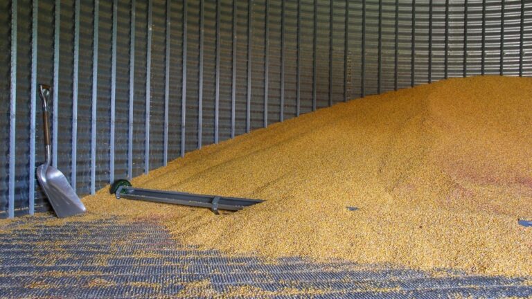 Ottawa invests more than $1 million in Canadian farm safety programs