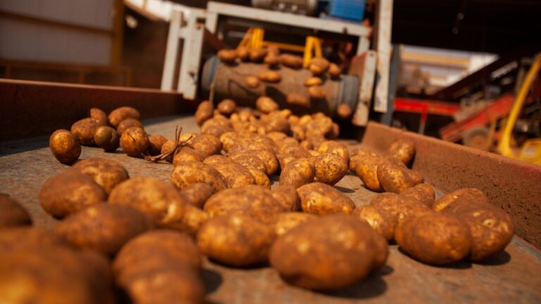 Ottawa announces billions in agri-food financing to boost food security