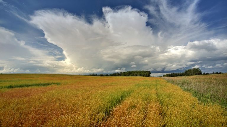 Saskatchewan land